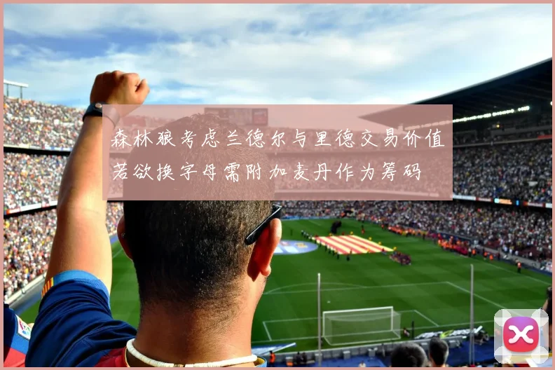 森林狼考虑兰德尔与里德交易价值若欲换字母需附加麦丹作为筹码